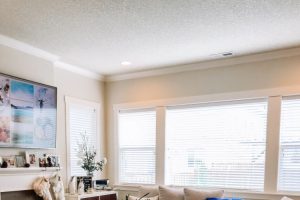 clean modern living room with lots of pillows